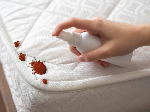 Best Bed Bug Extermination  in Potomac, MD